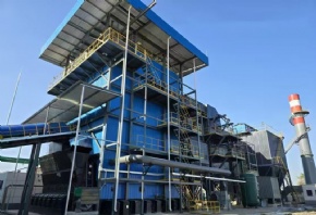 Chain grate steam boiler combustion system